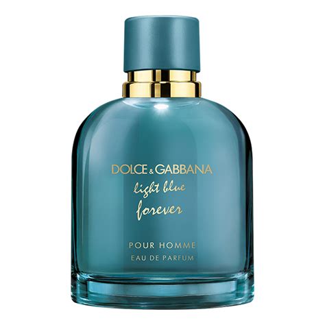 parfum dolce gabbana light blue homme|dolce gabbana light blue men's.